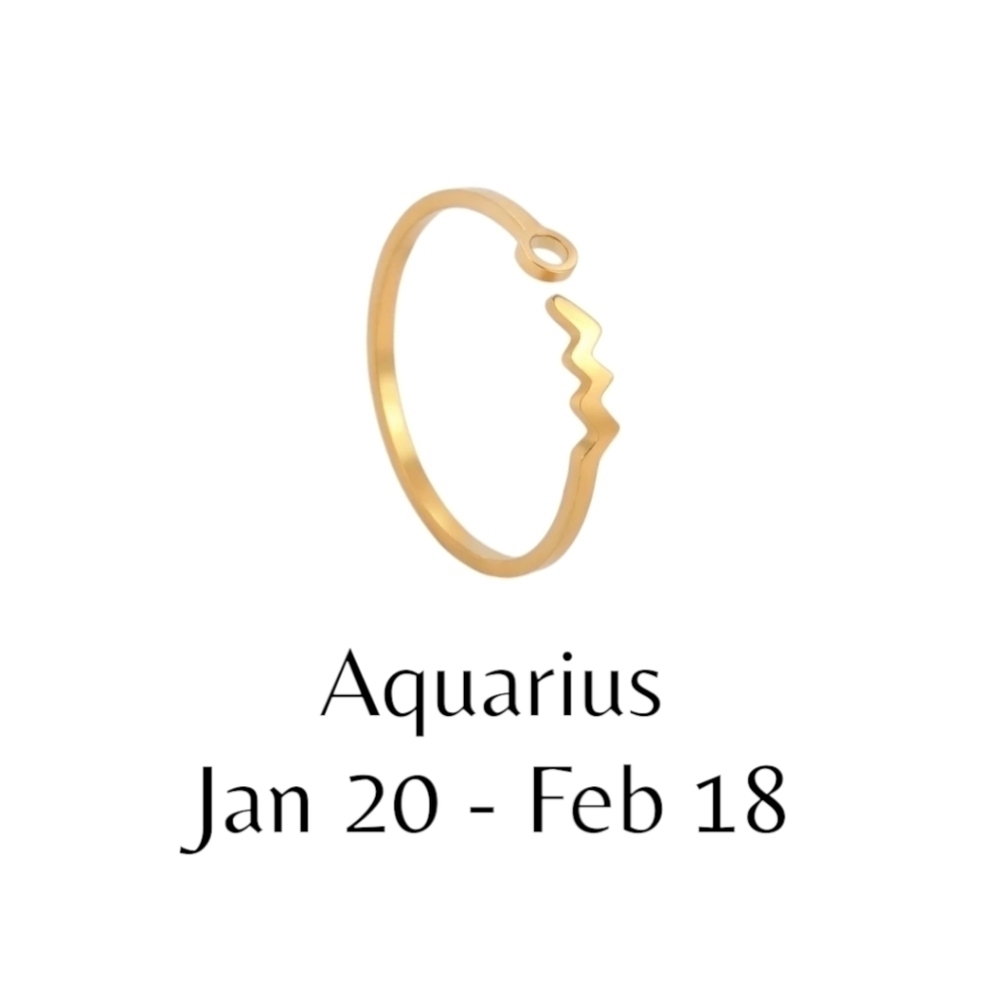 Aquarius Zodiac Constellation Stainless Steel Open Front Adjustable Ring